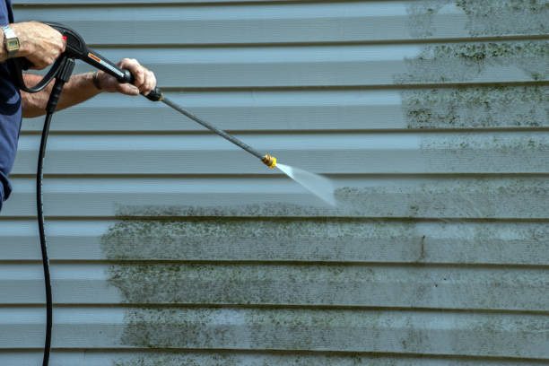 Best Commercial Building Pressure Washing  in Kingstree, SC